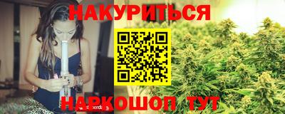 a pvp Новодвинск