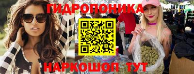 a pvp Новодвинск