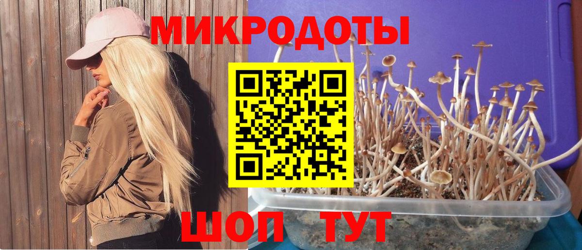 Галлюциногенные грибы Cubensis Топки